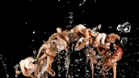Raw Octopus with Ice and Splashes of Water Rises Up and Falls Down