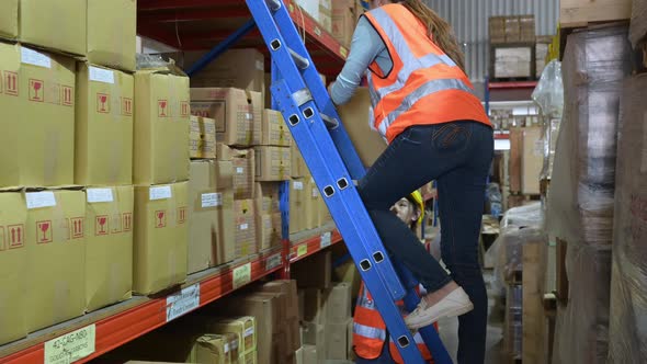 Two female warehouse workers Helping to lift things up and down from the storage shelves