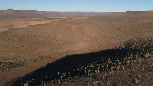 Stunning aerial views over the old Quiver tree forest outside Nieuwoudtville in the Northern Cape of