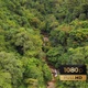 AH - Tropical Forest - VideoHive Item for Sale