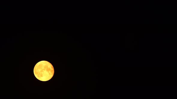 Full Golden Moon Rises in Night Black Sky