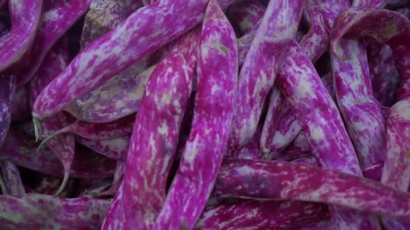 Pile Of Fresh Kidney Beans On The Market Stand