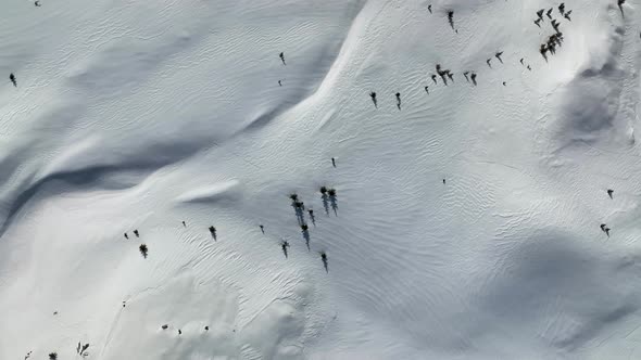 Winter landscape high in the mountains aerial view 4 K