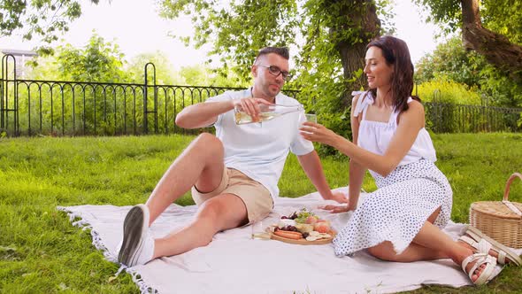 Happy Couple Drinking Wine on Picnic at Park