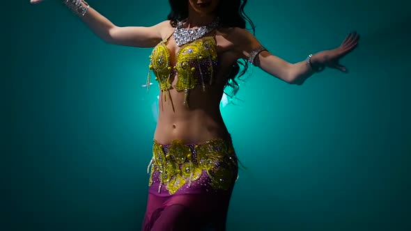 Torso of a Exotic Female Belly Dancer . Smoke Background. Slow Motion. Close Up