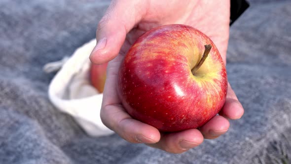 Man's hand offering an apple. 