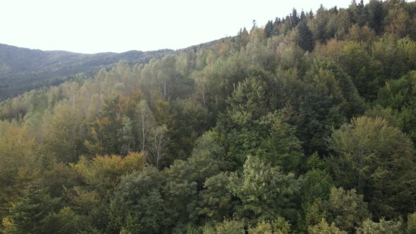 Nature of Ukraine: Carpathian Mountains Slow Motion. Aerial View