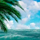 The Ocean And Palm Trees On The Edges - VideoHive Item for Sale