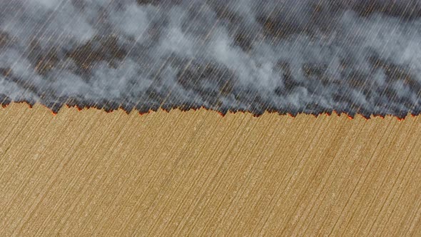 Burning Stubble With Symmetrical Straight Line