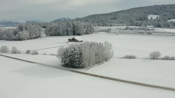 Aerial of group of snow covered trees with a small cabin  in beautiful winter landscape