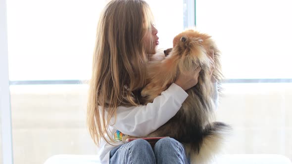 Little Cute Child Girl at Home Play and Hug Holding Her Small Pet Dog at Home