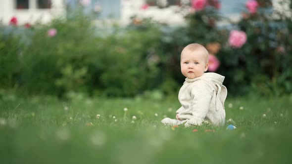 Cute Little Toddler Baby Playing in the Park on Grass at Day Time