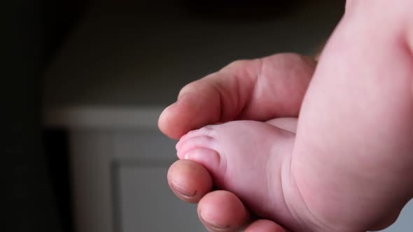 Father Holding and Stroking Baby Feet in Hands