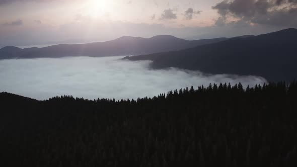 Dramatic Forest Landscape in High Mountains