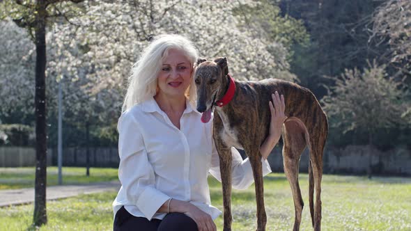 White-haired mature woman sitting in park stroking her greyhound
