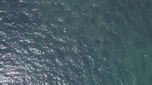 Overhead sky view of the ocean water, greensand, and wildlife at Seaton beach, England. The sunlight