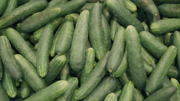 Assorted Cucumbers In Supermarket