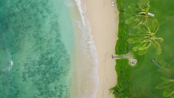 Top Don Aerial Teal Azure Water Woman on Sandy Tropical Beach Palms Island