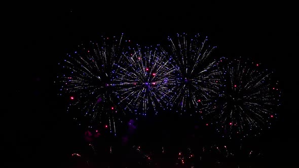 Colorful Fireworks Exploding in the Night Sky