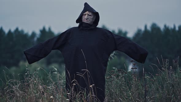 Witch standing in rural landscape. Witch stands in high dry grass in the field against the backgroun