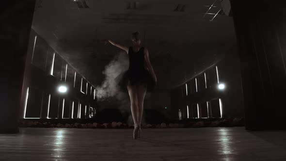 A Graceful Ballerina Dancing Ballet Elements in the Dark with Light and Smoke on the Background Slow