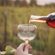 The Taster Pours Red Wine Into a Glass Against the Backdrop of Vineyards - VideoHive Item for Sale