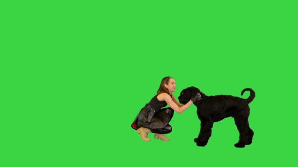 Cyberpunk Woman Playing with Giant Schnauzer on a Green Screen Chroma Key