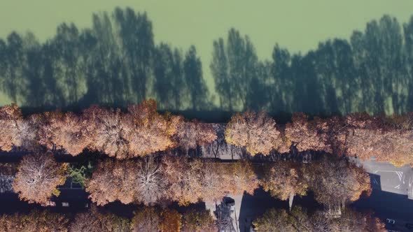 Traffic and tree shadows by the river