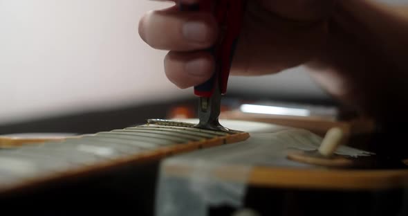 Refretting the Guitar Luthier Replaces Frets on the Electric Guitar Musical Instruments Repair Shop