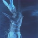 Sexy Man Dancing in a Rabbit Mask - VideoHive Item for Sale