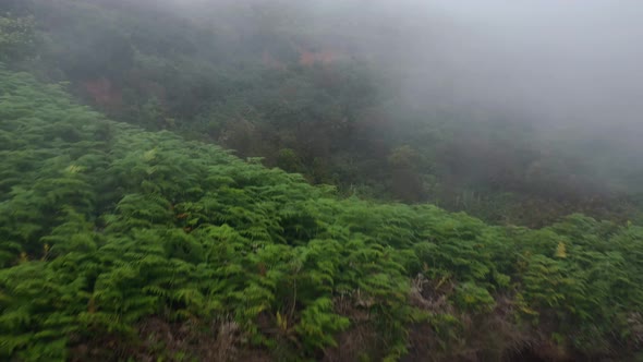 Aerial View of Mountain Slopes Covered with Green Vegetation