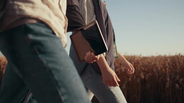 Farm Workers Walk Wheat Farmland