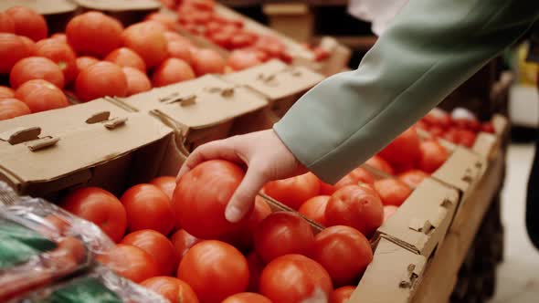 Person Buying Vegetables Fresh Red Tomatoes at Grocery Store