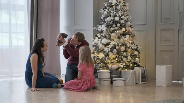 Young Family Play with Kitten By Christmas Tree