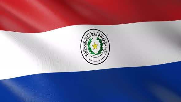 Flag of The Paraguay