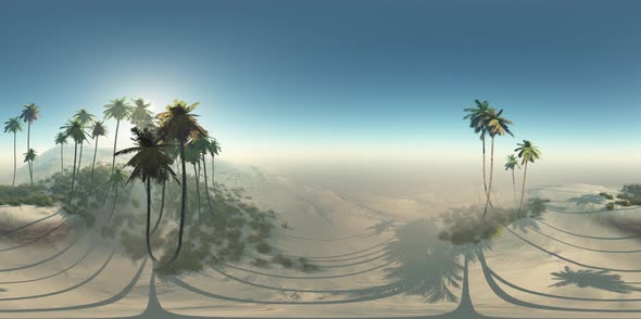 VR 360 Degree Aerial Panorama of Palms in Desert