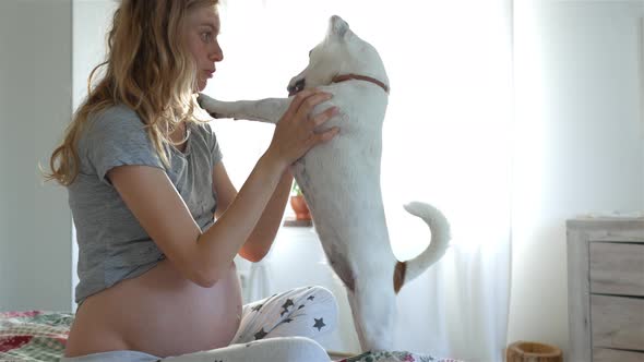 pregnant woman playing with a dog on the bed