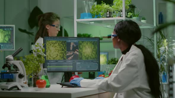 Biologist Researcher Typing Gmo Expertise on Computer