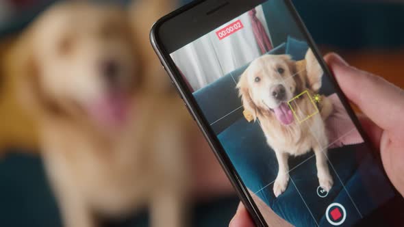 British Redhead Man Sitting on Sofa Taking Picture of Dog Retriever Making Photo or Video on Camera