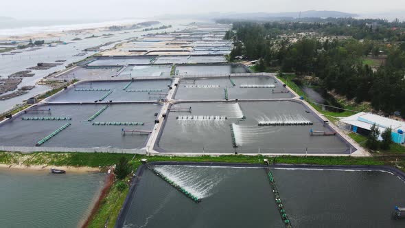 Shrimp Farming In Tuy Hòa, Vietnam. Cinematic Aerial Drone Shot.