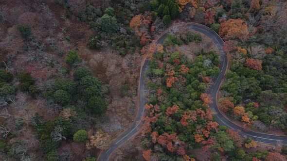 Skyline Aerial view in Mount Wakakusa, Nara