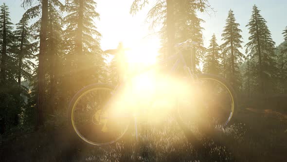 Bicycle in Mountain Forest alt