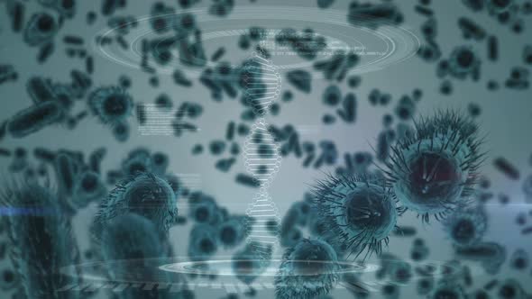 Bacterial proliferation surrounded by molecules and DNA