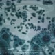 Bacterial proliferation surrounded by molecules and DNA - VideoHive Item for Sale