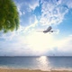 Airplane Flying Over Amazing Ocean Landscape With Tropical Island - VideoHive Item for Sale