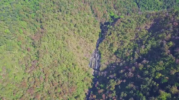 Aerial View Impassable Jungle with Gorge Among Mountains