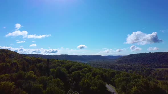 Aerial Video of Forest in Summer at Sunset. Countryside