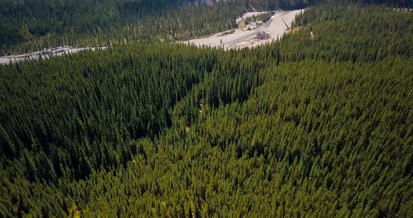 Aerial Daytime Wide Overhead Shot Of A Summer Pine Forest Tilts Up To Reveal A Swift Steep River And