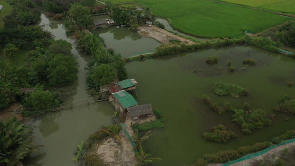 orbit drone shot of rice fields on the outskirts of Ho Chi Minh City, Vietnam.