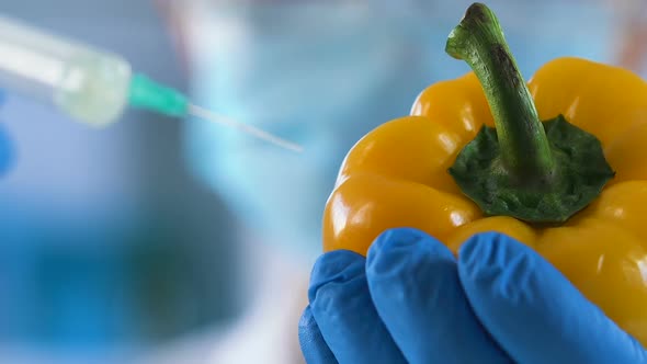 Lab Assistant Making Injection of Emulgator to Keep Pepper Fresh for Long Time